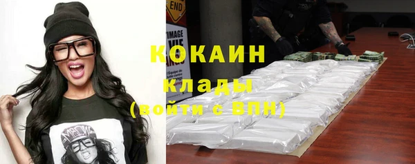 стаф Горняк