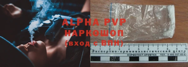 стаф Горняк