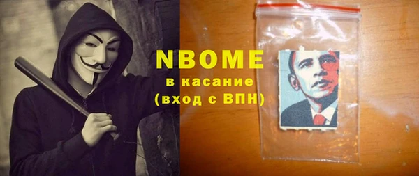стаф Горняк