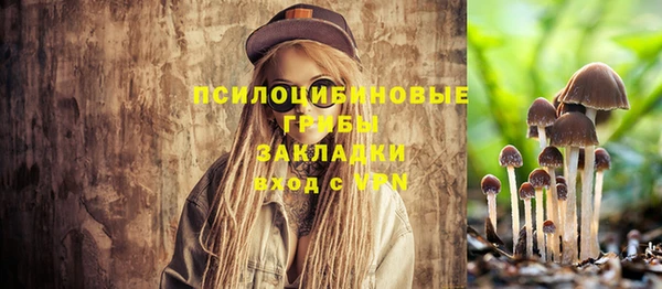 амф Горно-Алтайск