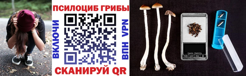 Купить  Лодейное Поле  Галлюциногенные грибы MAGIC MUSHROOMS 