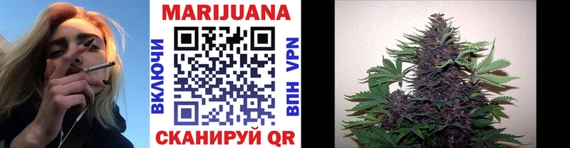 Конопля OG Kush Лодейное Поле